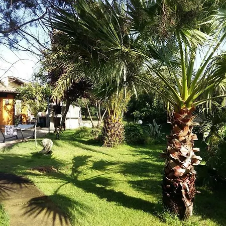 Taverna Indipendente In Holiday home Olbia